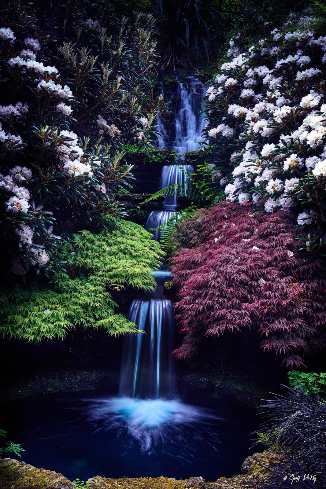 Cross Hills Gardens, Kimbolton, Palmerston North & Manawatū