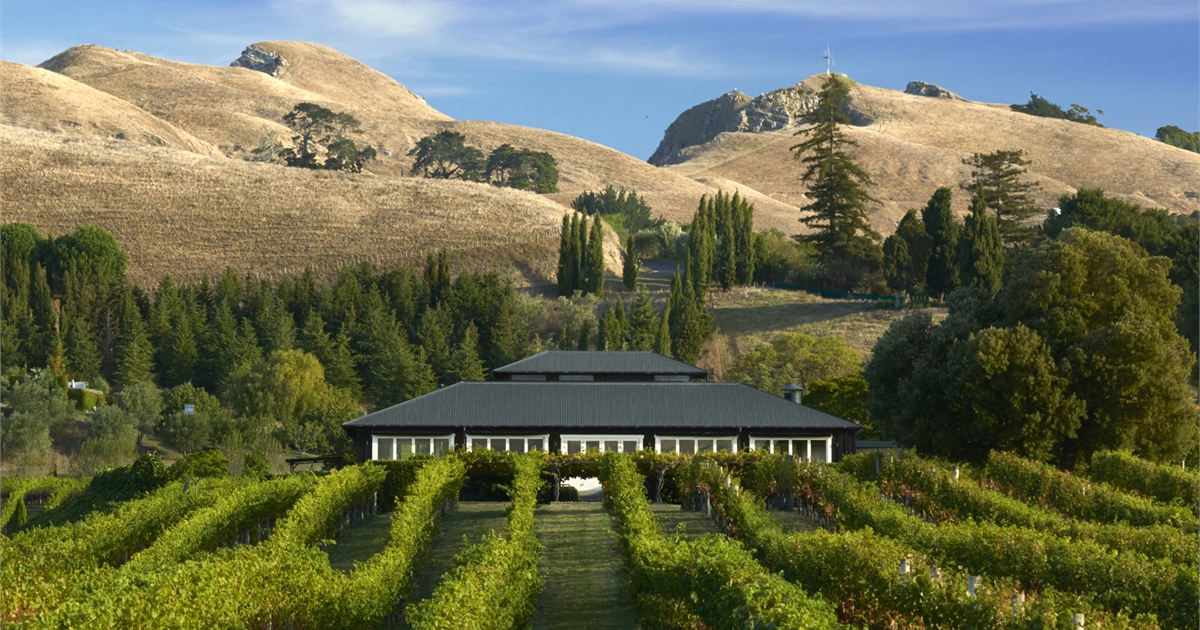 Black Barn Vineyards, Hawke's Bay